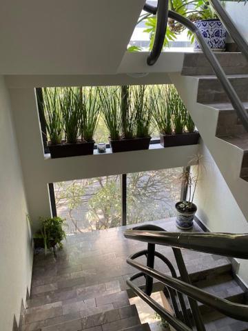 Sinaloa 46 Apartment Ciudad de México Exterior foto